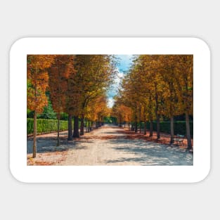 Autumn walk in the park Sticker